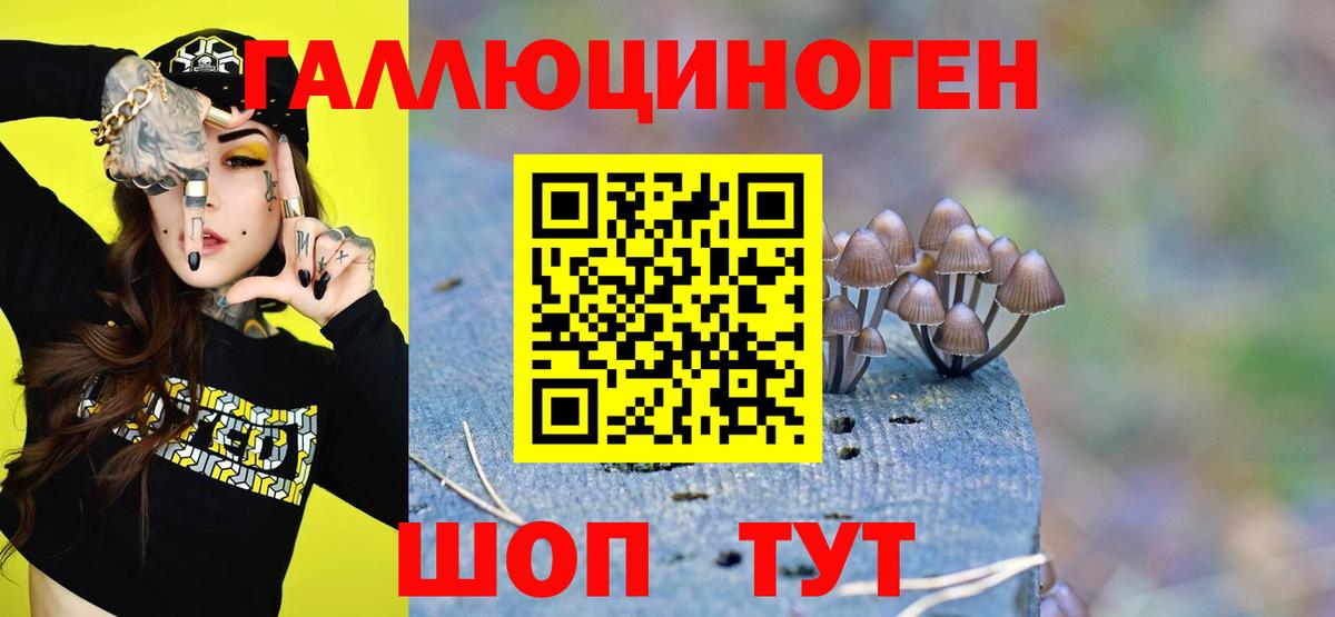 Псилоцибиновые грибы GOLDEN TEACHER  Вход с VPN  Миасс 