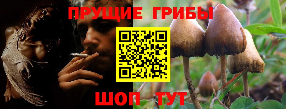 Галлюциногенные грибы Cubensis Миасс